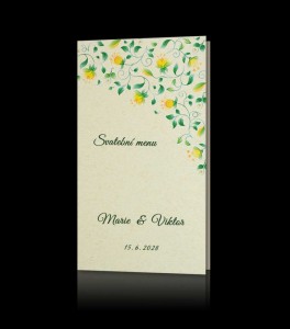 Menu C 029